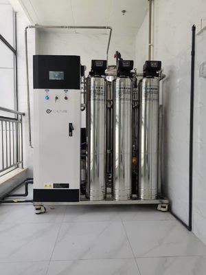 Bon prix 10L/Hr 20L/Hr Système commercial d'osmose inverse Filtration de l'eau agricole en ligne